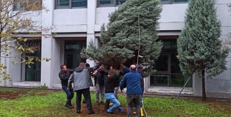 ZBEÜ’de Fırtınada Zarar Gören 68 Ağaca Destek Yapıldı
