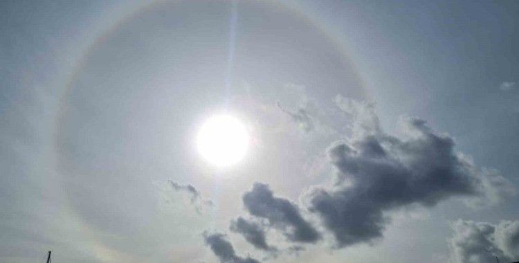 Bodrum’da hale ortaya çıktı
