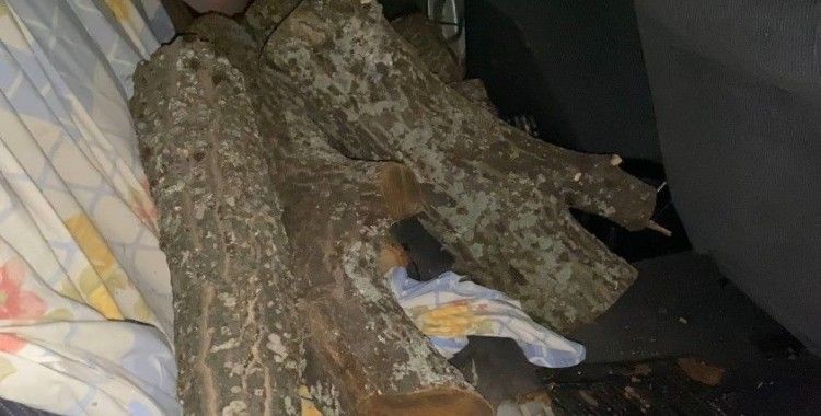Odun hırsızı suçüstü yakalandı