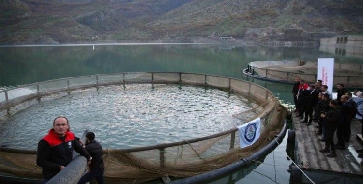 İnceler Barajında hedef 30 ton balık
