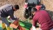 Şanlıurfa Büyükşehir Belediyesi buğday ekimine başladı

