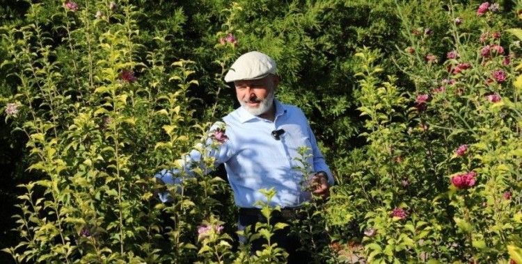 Türkiye yüzyılında herkesin en az iki dikili ağacı oldu
