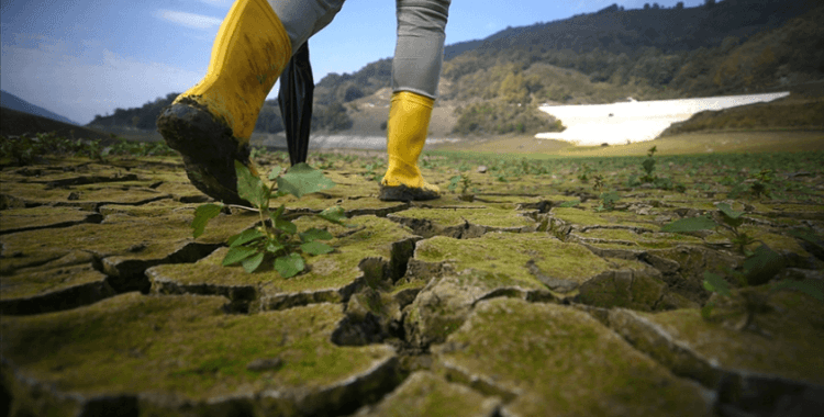 Çevreyi korumaya geçen yıl 140,3 milyar lira harcandı