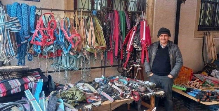 Zeytinde ’yok yılı’ urgancıları zora soktu
