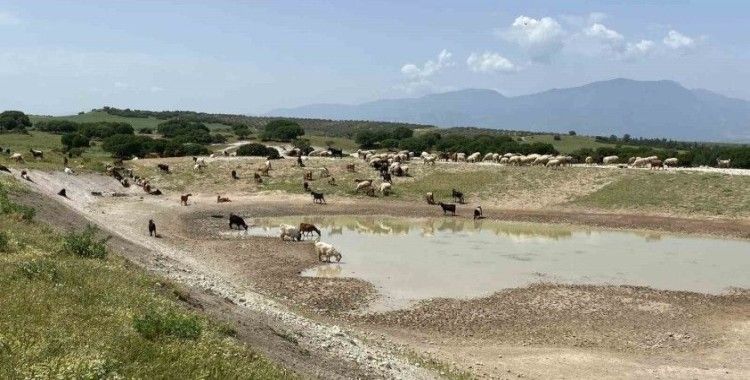 Manisa’ya 9 yılda 210 HİS Göleti yapıldı
