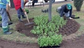 İlkadım’a 100 bin mevsimlik çiçek
