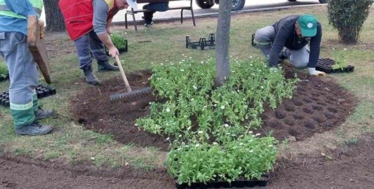 İlkadım’a 100 bin mevsimlik çiçek
