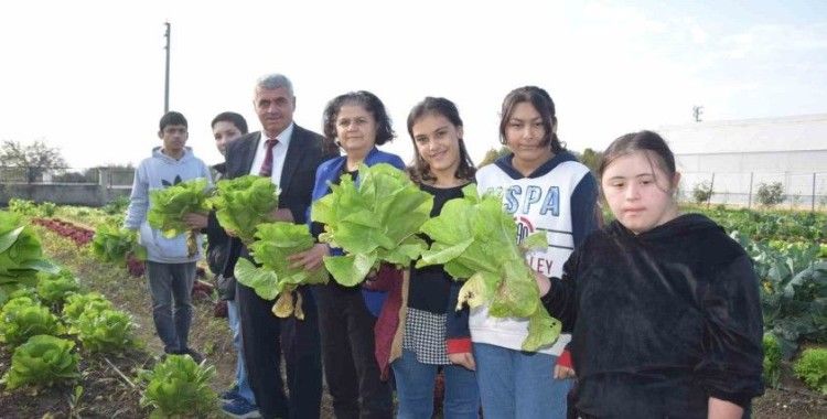 Özel öğrenciler, tarım lisesi öğrencilerinin ürettikleri mantarları ve sebzeleri birlikte topladı
