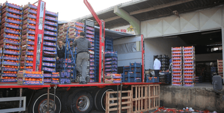 Yalova halinde 11 ayda 31 bin 96 ton meyve sebze çıkışı yapıldı