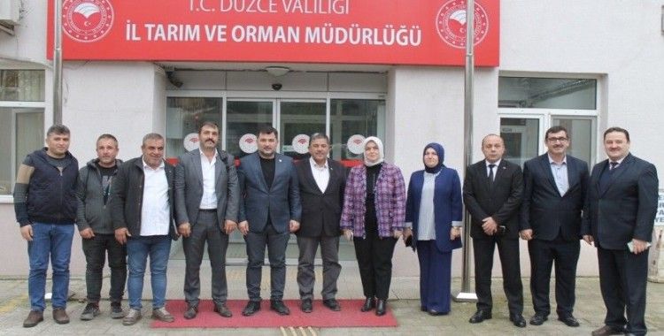 Fındık tarımında yeni uygulamalar değerlendirildi
