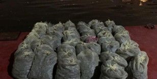 İstanbul’da 1 buçuk ton kaçak midye ele geçirildi
