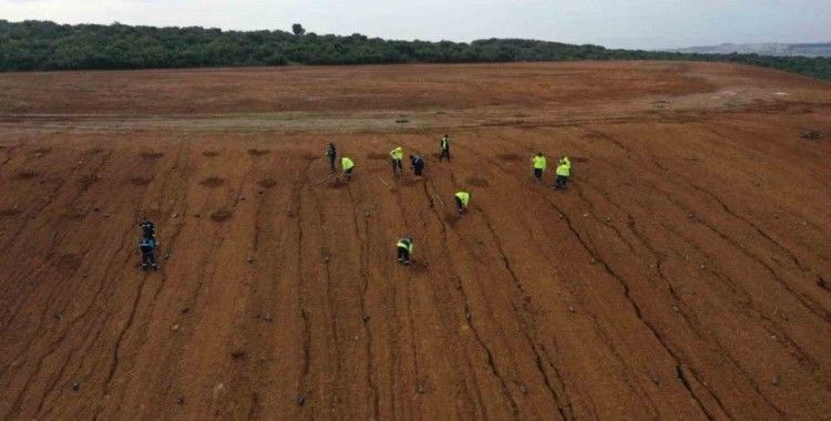 Dilovası’nda geleceğe 8 bin ağaçlık nefes
