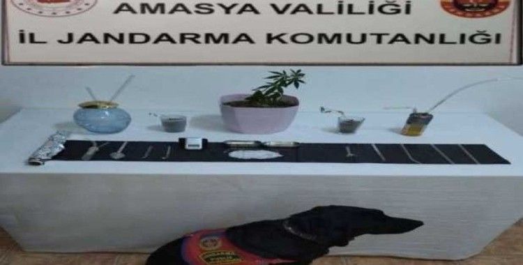 Suluova’da uyuşturucu operasyonu: 1 gözaltı
