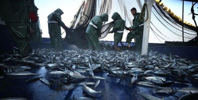 BM: Akdeniz ve Karadeniz'de aşırı avlanma son 10 yılın en düşük seviyesine indi