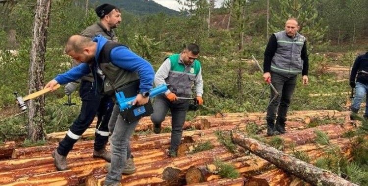 Hisarcık’ta ormandaki ağaçlara barkod uygulaması