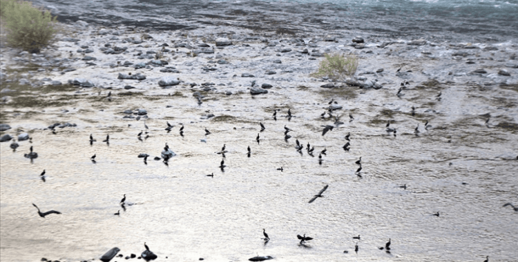 Fırat ve Dicle havzalarında iklim değişikliğinin toz fırtınalarına etkisi incelenecek