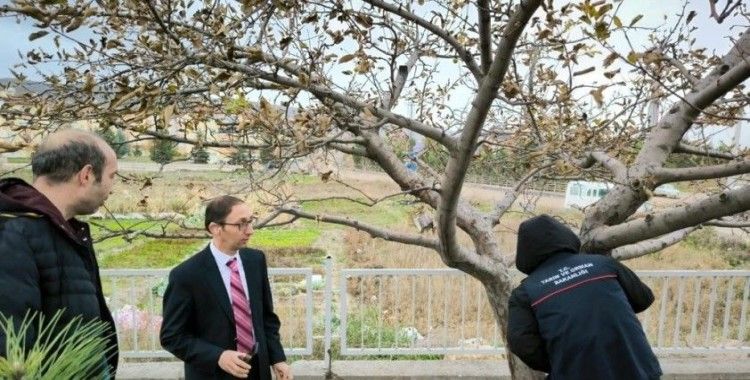 Emet’te Okul Müdürü meyve ağaçlarının bakımı konusunda bilgilendirildi
