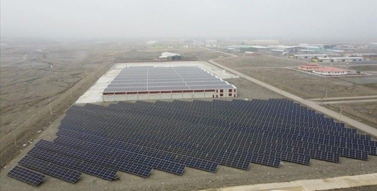 Erzincan'daki fabrikada atık orman ürünleri "pelet" ile ekonomiye kazandırılıyor