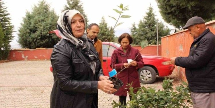 Elmalı’da bin 300 aronya fidanı dağıtıldı
