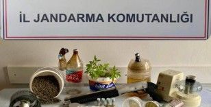 Jandarmanın yaptığı uyuşturucu operasyonunda 1 şüpheli tutuklandı