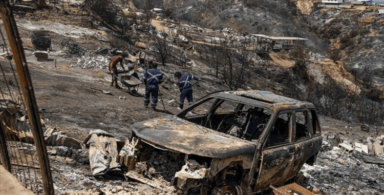 Şili'de devam eden orman yangınlarında hayatını kaybedenlerin sayısı 112'ye yükseldi