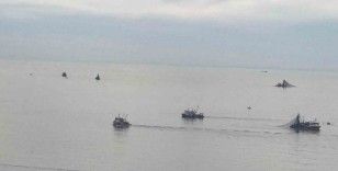 Balıkçı tekneleri Kozlu açıklarına akın etti
