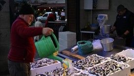 Trabzon'da istavritin 3 kilogramı 100 liradan satışa sunuluyor