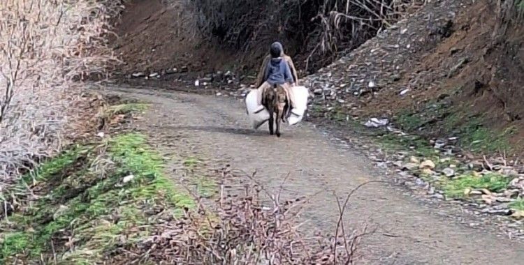 Elazığ’da selde çöken yolu kullanamayan köylüler hayvanlarına eşekler ile yem taşıyor