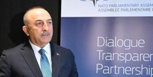 NATO PA Türk Delegasyonu Başkanı Çavuşoğlu'ndan İsrail'e saldırılarını durdurma çağrısı