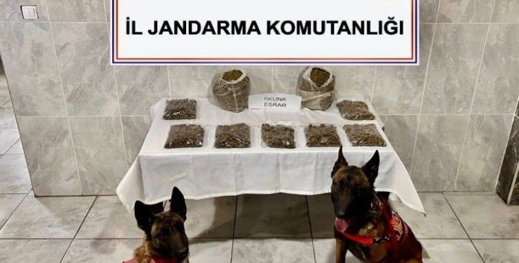 Yatağanda uyuşturucu operasyonu: 1 gözaltı