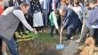 Mersin’de okul bahçelerine 600 zeytin fidanı dikildi
