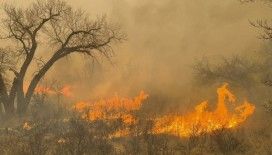 Texas'taki orman yangınlarında 1 kişi hayatını kaybetti