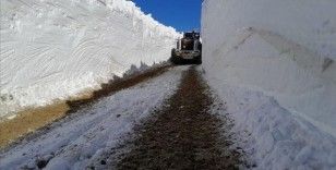 Hakkari'de kar nedeniyle kapanan üs bölgelerinin yolu açıldı
