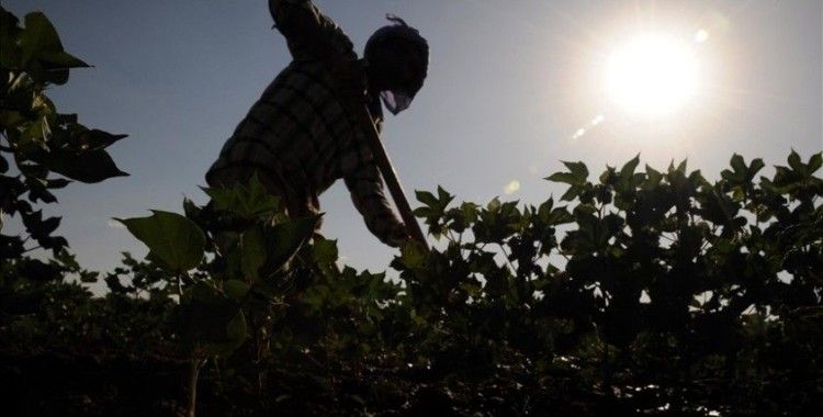 Tarım işçilerinin günlük ücreti 2023'te arttı