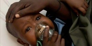 Nijerya'da bir haftada Lassa ateşi hastalığından 20 kişi öldü