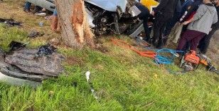 Ağaca çarpan otomobil sürücüsü ağır yaralandı
