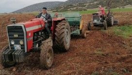 Hüyük’te atıl tarım alanları aspir ekilerek üretime kazandırılıyor
