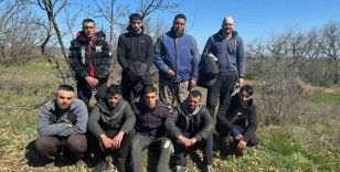 Edirne’de 9 kaçak göçmen yakalandı
