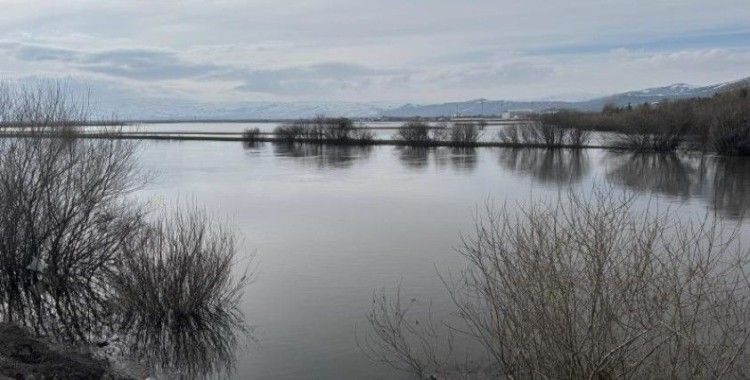 Ardahan'da Kura Nehri taştı