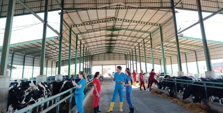 Veteriner hekimler KKTC’de buluşacak