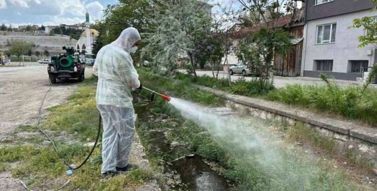 Bozüyük Belediyesi ilaçlama çalışmalarına hız verdi
