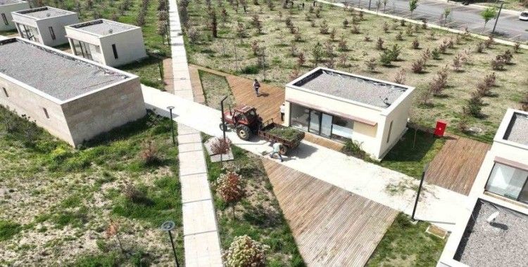 Kılavuzlu Millet Bahçesi bakıma alındı