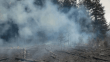 Kastamonu'da enerji nakil hattından sıçrayan kıvılcım ormanda yangına neden oldu