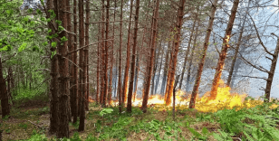 Kastamonu'da çıkan orman yangını kontrol altına alınmaya çalışılıyor