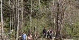 Artvin’de ağaçta mahsur kalan yavru ayı kurtarıldı
