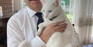 Vali Aksoy veteriner hekimlerin gününü kedisi Pamuk ile kutladı
