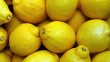 Yasaklı madde tespit edilen limonlarla ilgili üretici ve ihracatçı firmalar hakkında soruşturma başlatıldı
