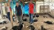 Başıboş köpek saldırısında 15 hayvanı telef olan çiftçiye hayırsever desteği
