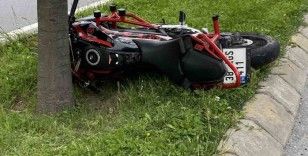Küçükçekmece’de korkunç kaza, ağaca çarpan motosiklet sürücüsü feci şekilde can verdi
