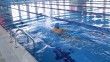 Özel Sporcular Yüzme İl Şampiyonası gerçekleştirildi
